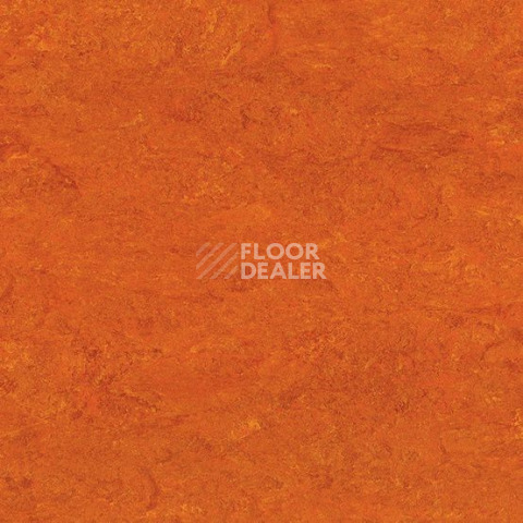 Линолеум Gerflor Marmorette DLW 2.5mm 0117 Mandarin Orange фото 1 | FLOORDEALER