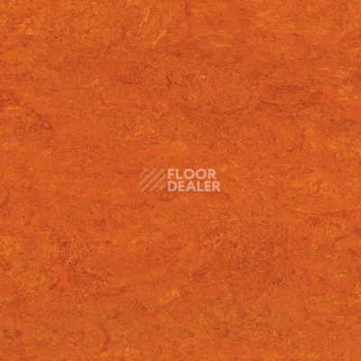 Линолеум Marmorette DLW 2.5mm 0117 Mandarin Orange фото 1 | FLOORDEALER