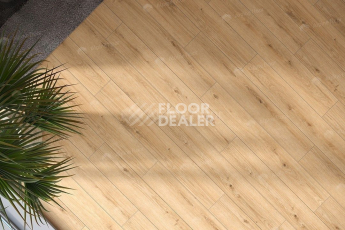 Classen Arteo 8 M 62757 Дуб Намиб фото 3 | FLOORDEALER