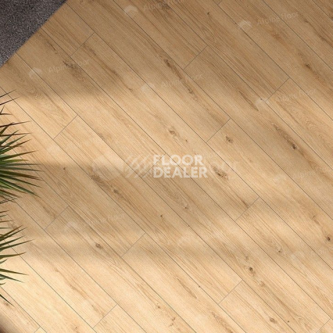 Classen Arteo 8 M 62757 Дуб Намиб фото 3 | FLOORDEALER