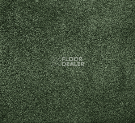 Ковролин AW Silk 29 фото 1 | FLOORDEALER