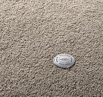 Ковролин Vorwerk Superior 1065/Viola Vorwerk 5x89 фото 1 | FLOORDEALER