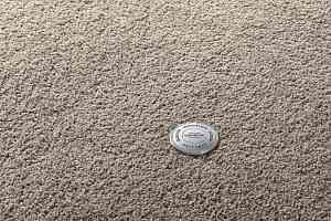 Ковролин Vorwerk Superior 1065/Viola Vorwerk 5x89 фото  | FLOORDEALER