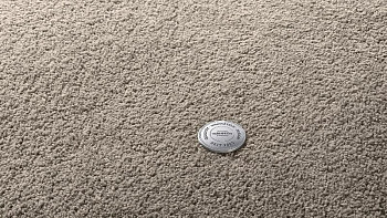 Ковролин Vorwerk Superior 1065/Viola Vorwerk 5x89 фото 1 | FLOORDEALER