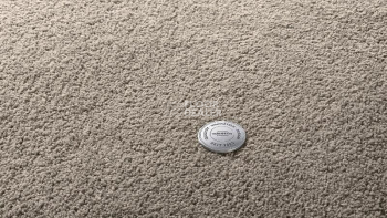 Ковролин Vorwerk Superior 1065/Viola Vorwerk 5x89 фото 1 | FLOORDEALER