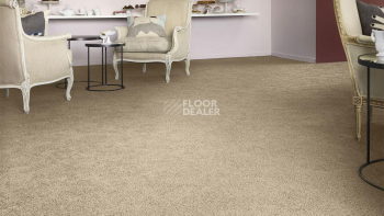 Vorwerk Superior 1041 Vorwerk 8j57 фото 2 | FLOORDEALER