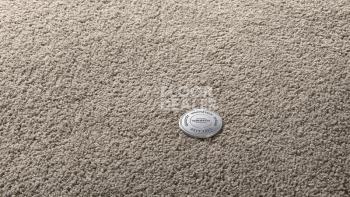 Ковролин Vorwerk Superior 1065/Viola Vorwerk 5x89 фото 1 | FLOORDEALER