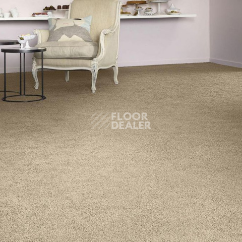 Vorwerk Superior 1041 Vorwerk 8j57 фото 2 | FLOORDEALER