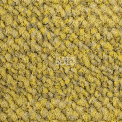 Desso Desert 6103 фото 2 | FLOORDEALER