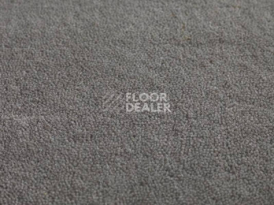 Ковролин Jacaranda Carpets Heavy Velvet Artemisia фото 1 | FLOORDEALER
