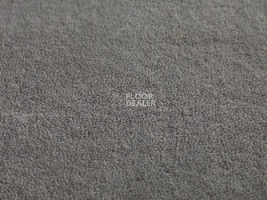 Ковролин Jacaranda Carpets Heavy Velvet Artemisia фото 1 | FLOORDEALER