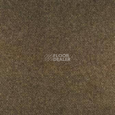 Ковролин Big Rocca 992 фото 1 | FLOORDEALER