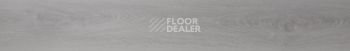 Evofloor Optima Click 4.2мм Дуб Снежный фото 2 | FLOORDEALER