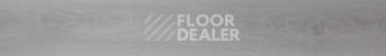 Evofloor Optima Click 4.2мм Дуб Снежный фото 2 | FLOORDEALER