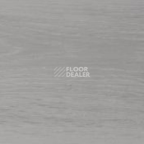 Evofloor Optima Click 4.2мм Дуб Снежный фото 2 | FLOORDEALER