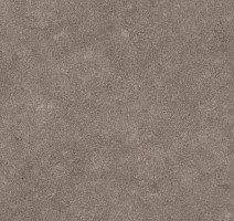 Линолеум Forbo SureStep Stone 17142 фото 1 | FLOORDEALER