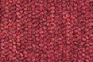 Ковролин Balsan Santa Fe DD Santa Fe dd 575 фото  | FLOORDEALER