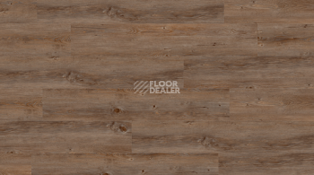 Кварцвиниловые полы Creation 70 Clic 0359_Wild_Oak фото 1 | FLOORDEALER