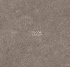 Линолеум Forbo SureStep Stone 17142 фото 1 | FLOORDEALER
