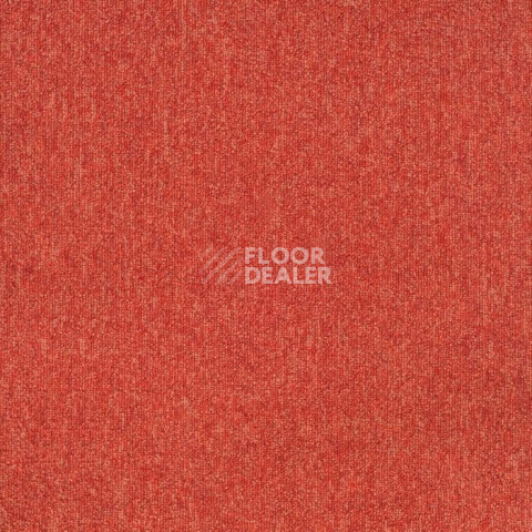 Ковровая плитка Tarkett Sky Original Sky 77582 фото 1 | FLOORDEALER