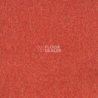 Ковровая плитка Tarkett Sky Original Sky 77582 фото 1 | FLOORDEALER