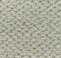 Condor Carpets Argus 527 фото 1 | FLOORDEALER