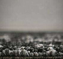 Bonkeel Sunrise Graphit фото 2 | FLOORDEALER