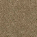 Ковролин Desso Asteranne 2047  | FLOORDEALER