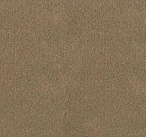 Ковролин Desso Asteranne 2047 фото 1 | FLOORDEALER