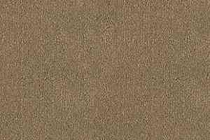 Ковролин Desso Asteranne 2047 фото  | FLOORDEALER