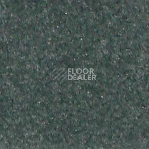 Ковролин Shaw all That Jazz 21347 фото 1 | FLOORDEALER