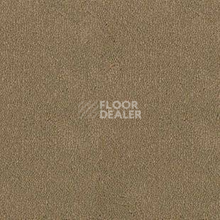 Ковролин Desso Asteranne 2047 фото 1 | FLOORDEALER