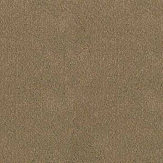 Desso Asteranne 2047 фото 1 | FLOORDEALER