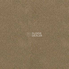 Ковролин Desso Asteranne 2047 фото 1 | FLOORDEALER