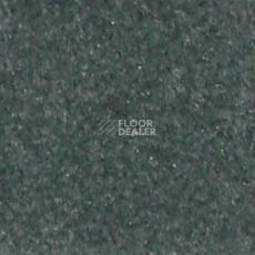 Ковролин Shaw all That Jazz 21347 фото 1 | FLOORDEALER