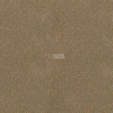 Desso Asteranne 2047 фото 1 | FLOORDEALER