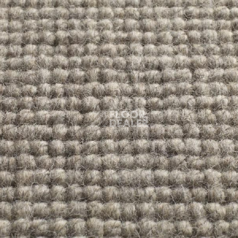 Ковролин Jacaranda Carpets Chandigarh Pewter фото 1 | FLOORDEALER