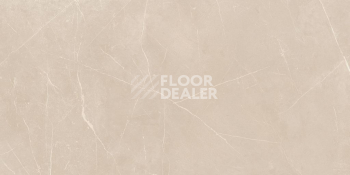 Nolana ( Нолана ) 60 x 120 x 10 NL01 фото 3 | FLOORDEALER