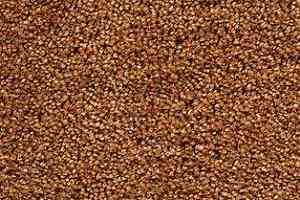 Ковролин AW Danieli 48 фото  | FLOORDEALER