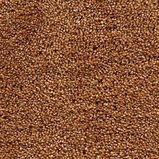 Ковролин AW Danieli 48 фото 1 | FLOORDEALER