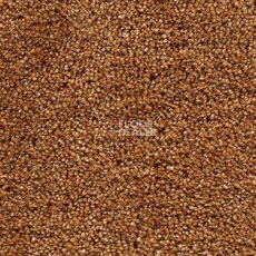 Ковролин AW Danieli 48 фото 1 | FLOORDEALER