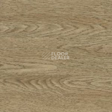 Линолеум Polyflor Kudos 1965 фото 1 | FLOORDEALER