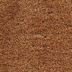 AW Danieli 48 фото 1 | FLOORDEALER