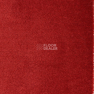 Ковролин Edel Twister 155 фото 1 | FLOORDEALER