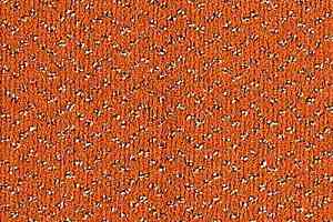 Ковролин Balta ITC Fortesse Fortesse 16 фото  | FLOORDEALER