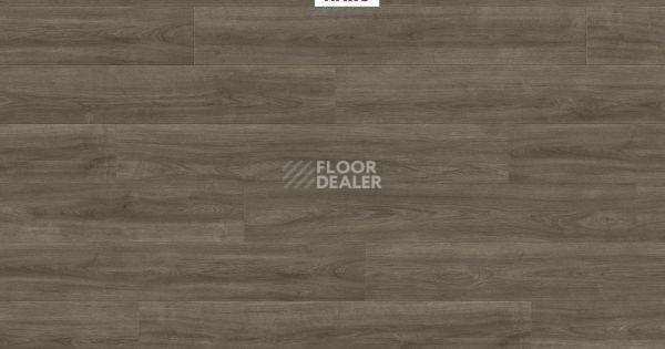 Ламинат Haro Tritty 200 Aqua 4V ДУБ ЭЛЕГАНЗА АНТИЧНЫЙ СЕРЫЙ 541555 фото 1 | FLOORDEALER