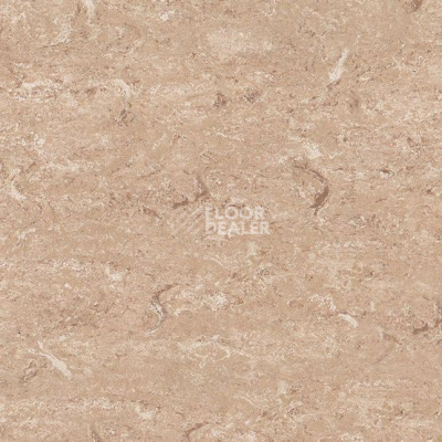 Линолеум Marmorette DLW  2mm 0146 Beeswax Beige фото 1 | FLOORDEALER