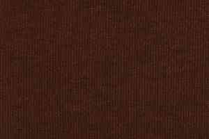 Ковролин Tapibel Secura 48101 фото  | FLOORDEALER