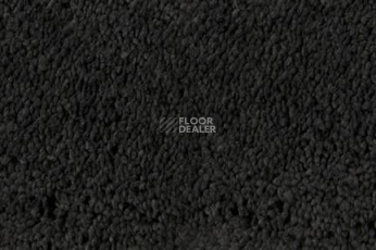 Edel Pamina Edel Pamina 189 фото 1 | FLOORDEALER