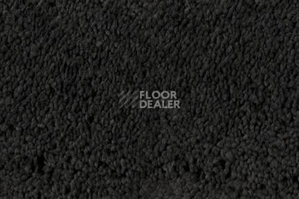 Ковролин Edel Pamina Edel Pamina 189 фото 1 | FLOORDEALER